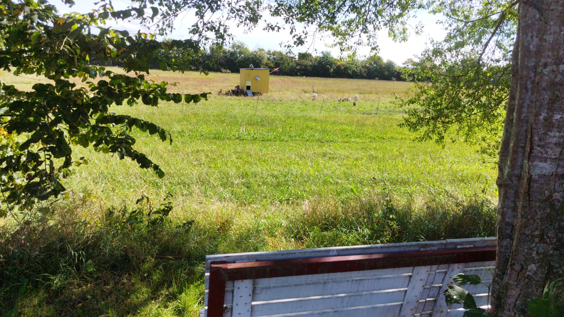 Naturens Fristed - Gården